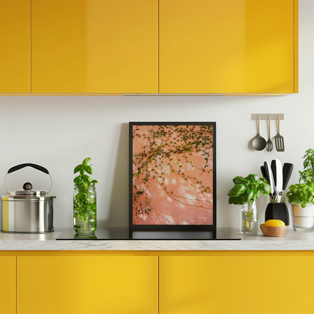 Botanical San Miguel de Allende | Mexico travel photography Poster