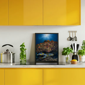 Oriental sweetlips under the sunlight Poster