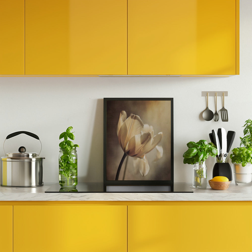 Pastel Tulip Poster