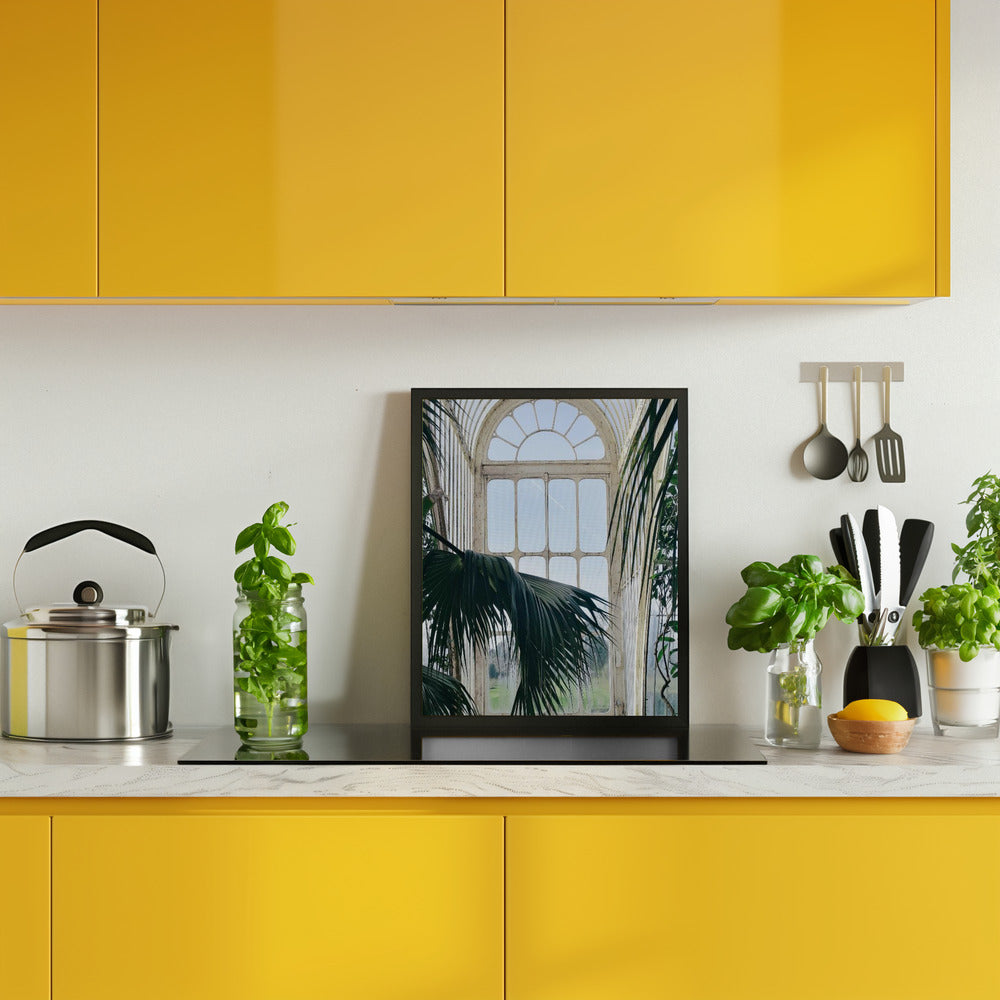 Palm House Windows Poster