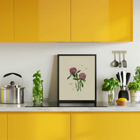 Red Clover Poster