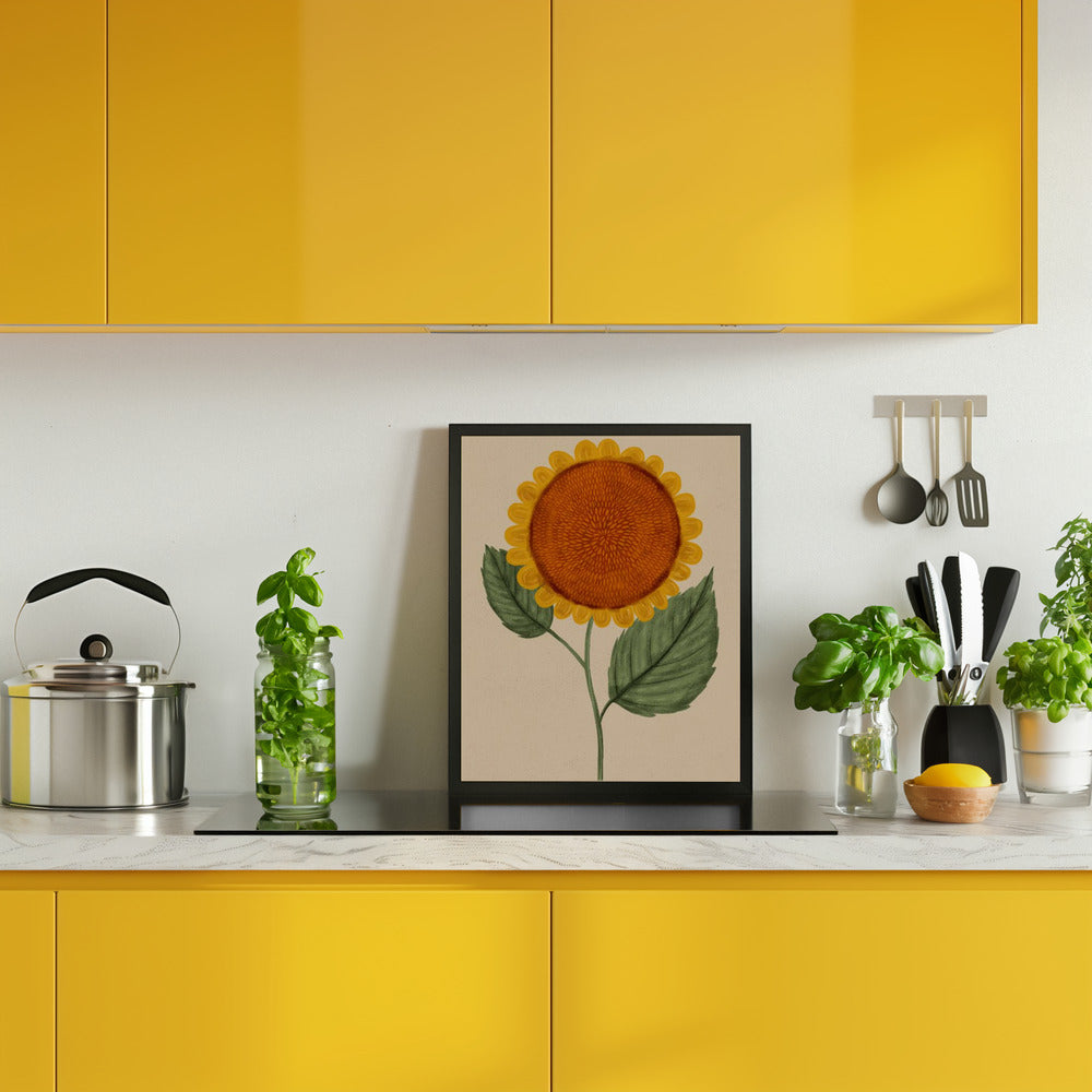 Sunflower Poster