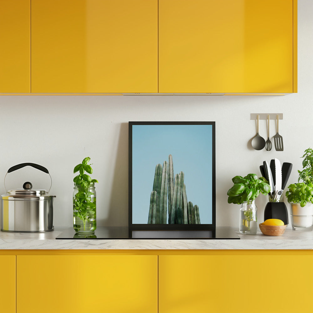 Tall Cacti Poster