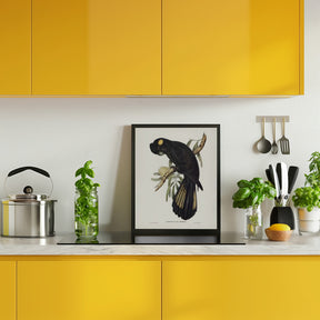 Funereal Cockatoo Poster