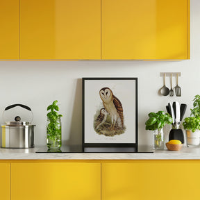 Grass Owl Poster