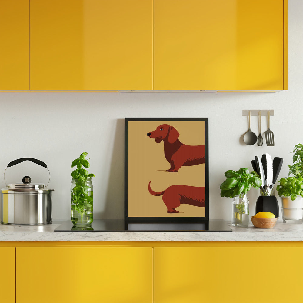 Dachshund Poster